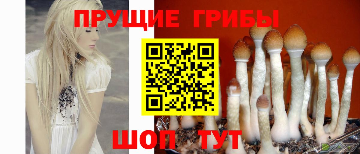 Галлюциногенные грибы ЛСД  Вход с VPN  Новодвинск 
