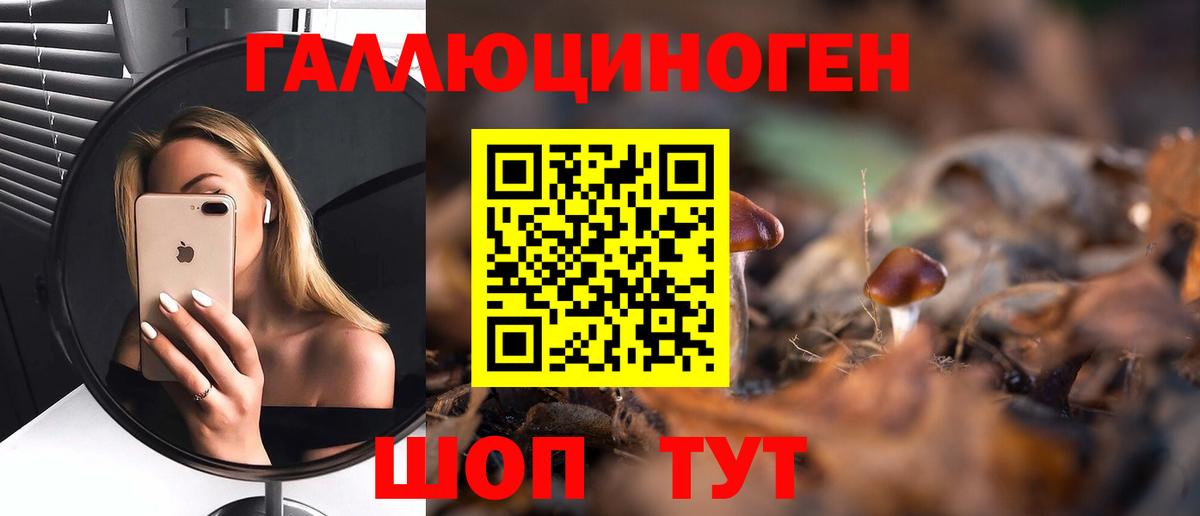 Псилоцибиновые грибы ЛСД Новодвинск