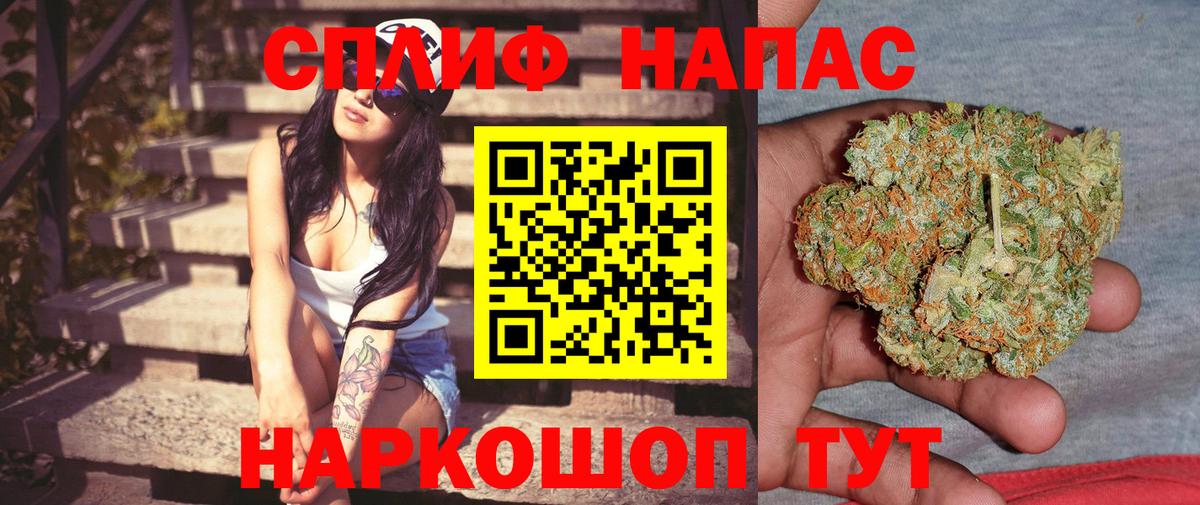 Каннабис SATIVA & INDICA Новодвинск